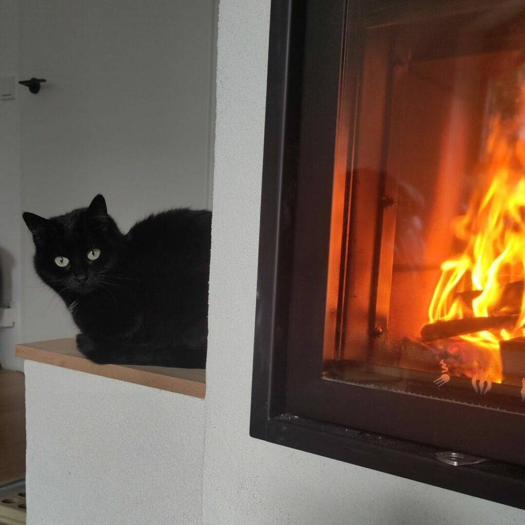 Katze vorm Ofen